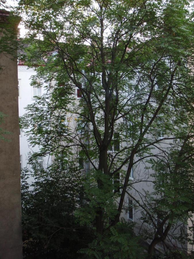 Augartenblick Penthaus 17 - Blick Zum Riesenrad Wien Exteriör bild